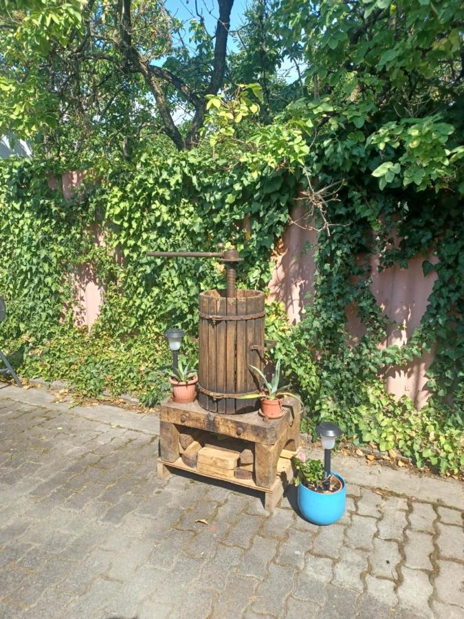 Eva Apartmanhaz Erlau Exterior foto